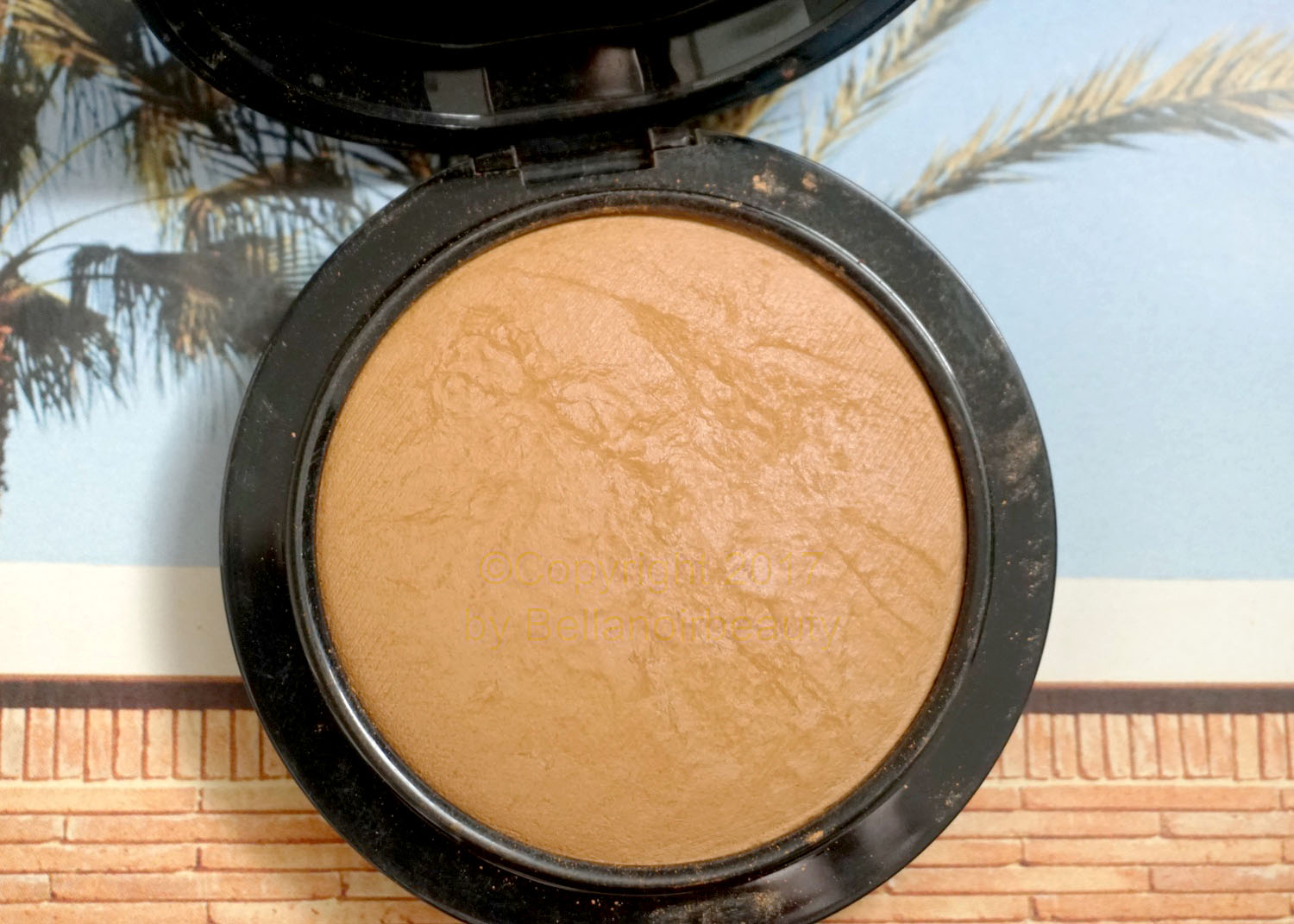 Mac Mineralize Skinfinish natural. Пудра Mac Mineralize Skinfinish natural Medium Plus. Mac Mineralize Skinfinish natural Medium фото.