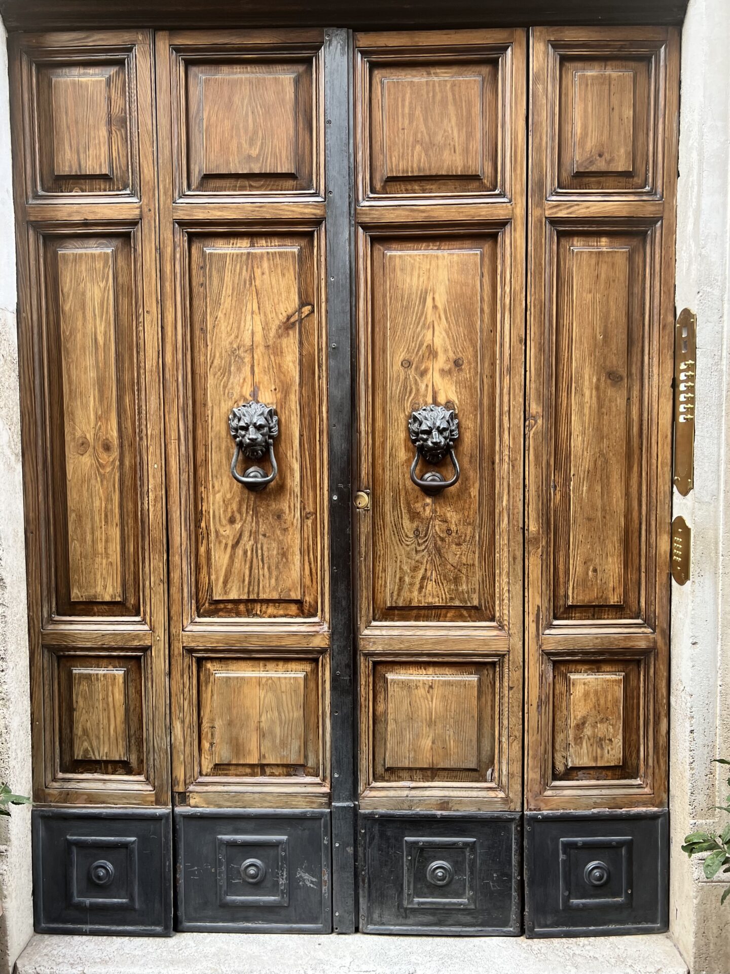 large wooden double doors with lion knockers